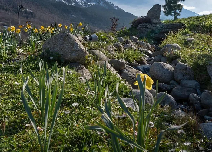 Avec Piscine Et Sauna - 6 Pers - Fr-1-296-432 Daire *