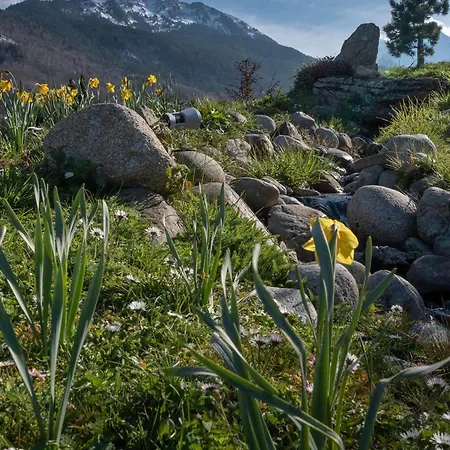 Avec Piscine Et Sauna - 6 Pers - Fr-1-296-432 Lejlighed *